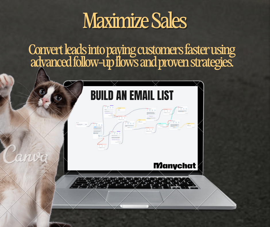 Manychat Automation Flows: PLR & MRR
